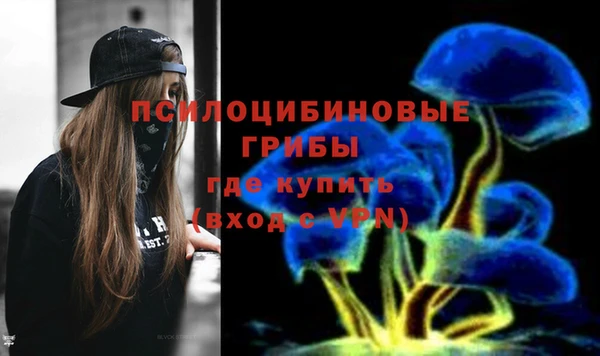 скорость Богородицк