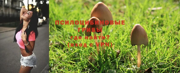 PSILOCYBIN Бронницы