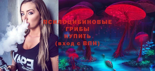 таблы Богородск
