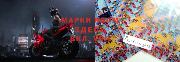 кокс Белокуриха